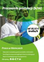 Pracownik produkcji (k/m) bez znajomości języka - również dla par!