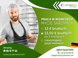 Pracownik (k/m) - mycie skrzynek pod ciśnieniem - nawet 13,50 euro brutto/h!