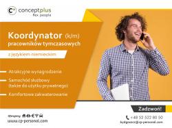 Koordynator (k/m) pracowników tymczasowych z j. niemieckim - Niemcy
